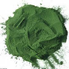 SPIRULINA-POWDER CHINA